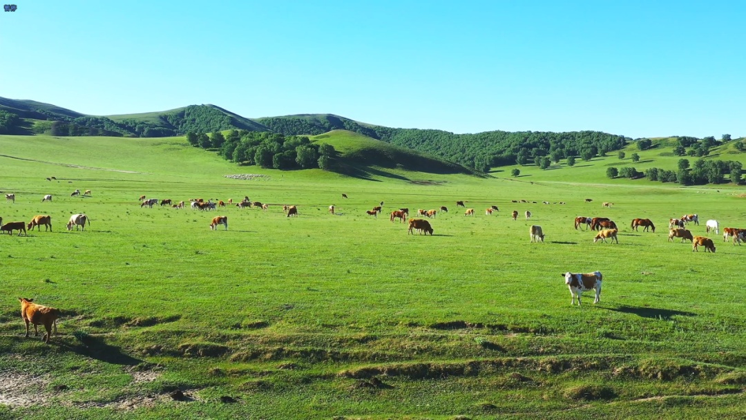 即将首发，全列卧铺+独立卫浴
