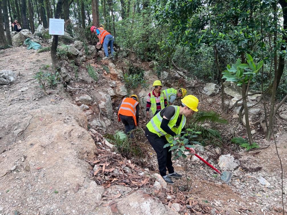广州黄埔暹岗大山被采挖坑洞已全部回填复绿
