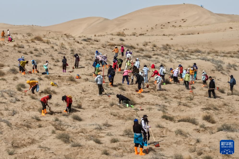 跨越山海种树护绿