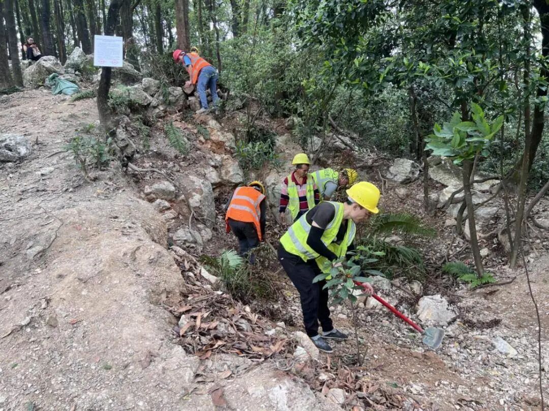 广州黄埔：暹岗大山被采挖坑洞全部回填复绿，游客挖出的石头并非水晶矿
