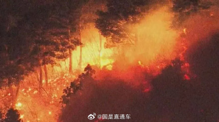 日本发生大规模山林火灾 约2000人被疏散