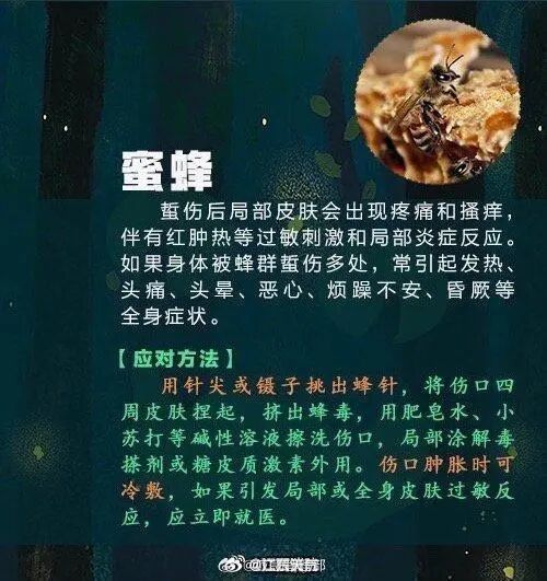 强降水+强对流！广东暴雨要来了！广州晚高峰小心雨水“突袭”