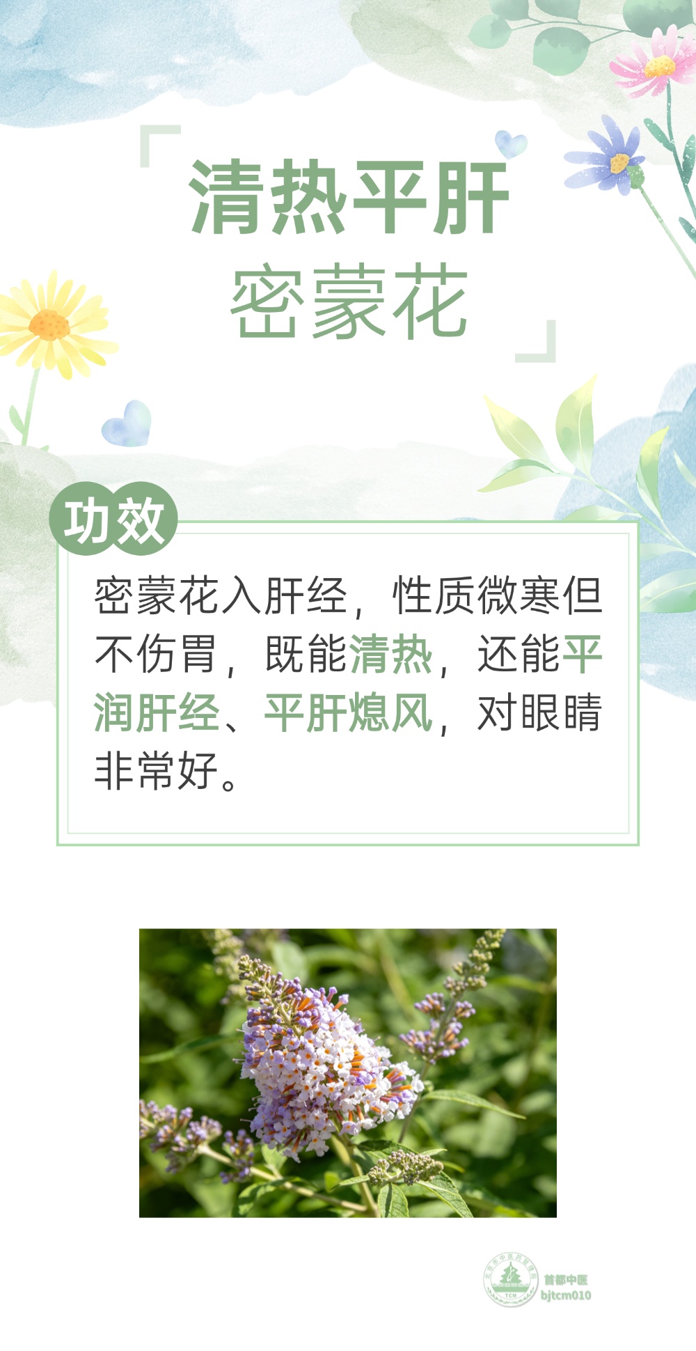 眼睛和肝都喜欢的一朵花，4月吃起来，肝血足了，眼睛越来越水润