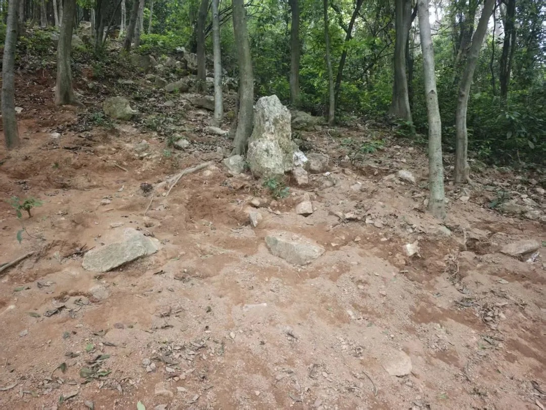 广州黄埔：暹岗大山被采挖坑洞全部回填复绿，游客挖出的石头并非水晶矿