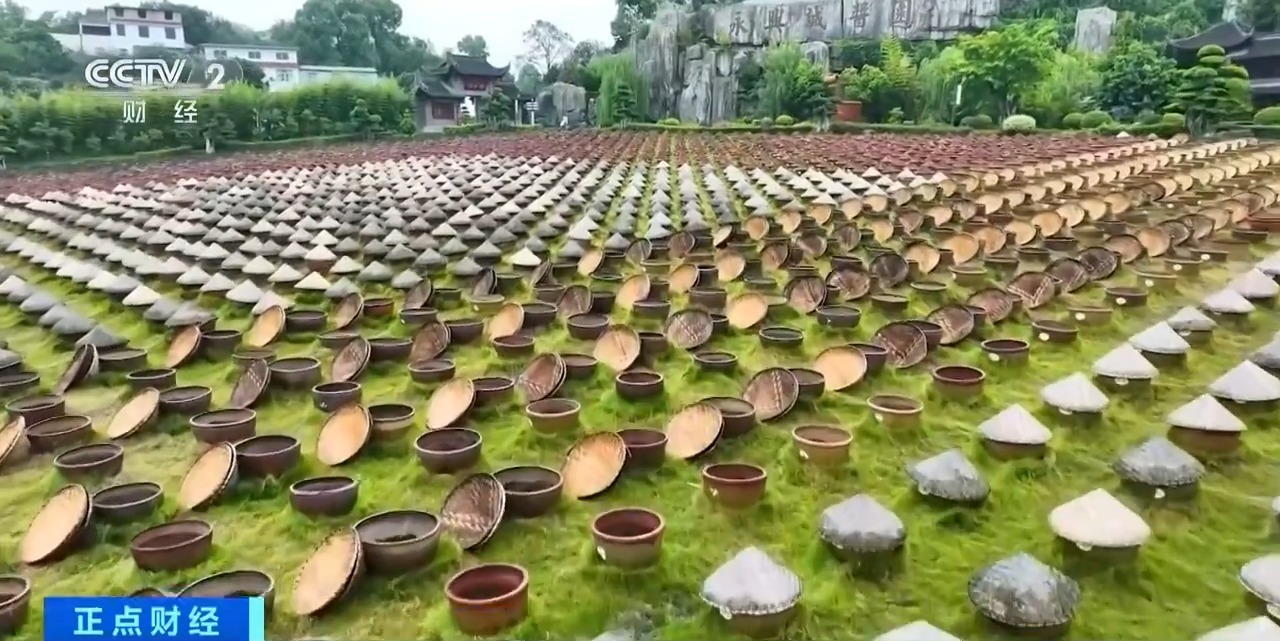 “五一”高性价比“小城游”热度攀升 你pick哪座城？