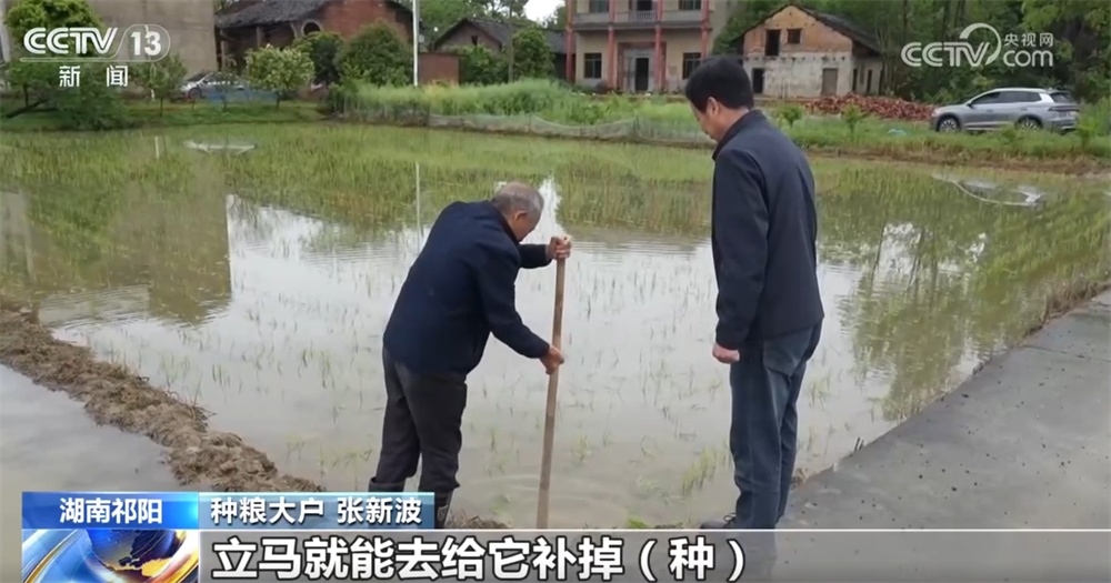 排水排涝、洗苗扶苗、追肥补苗……湖南祁阳以“迅”应“汛”合力保春耕