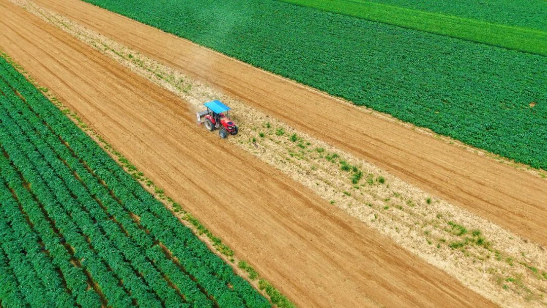 经济热点快评｜“十五五”首季，农业农村经济“开门稳”