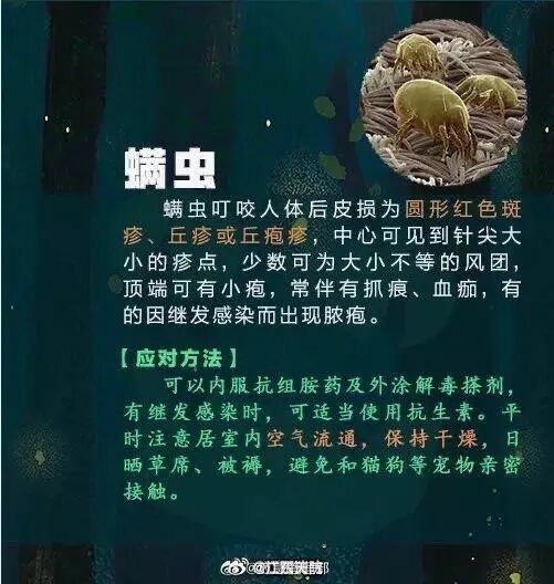 强降水+强对流！广东暴雨要来了！广州晚高峰小心雨水“突袭”