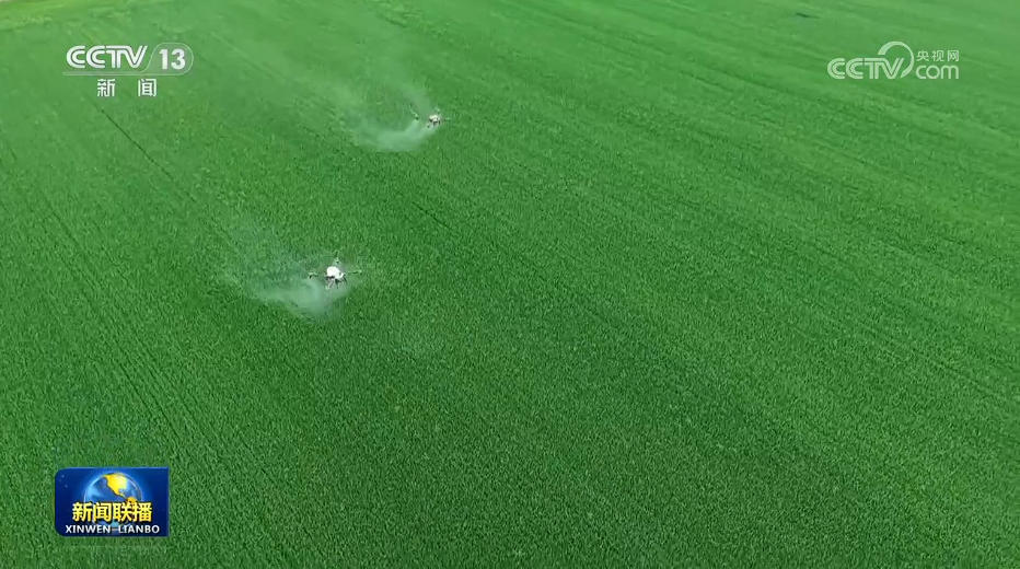 一季度我国农业农村经济保持良好发展势头