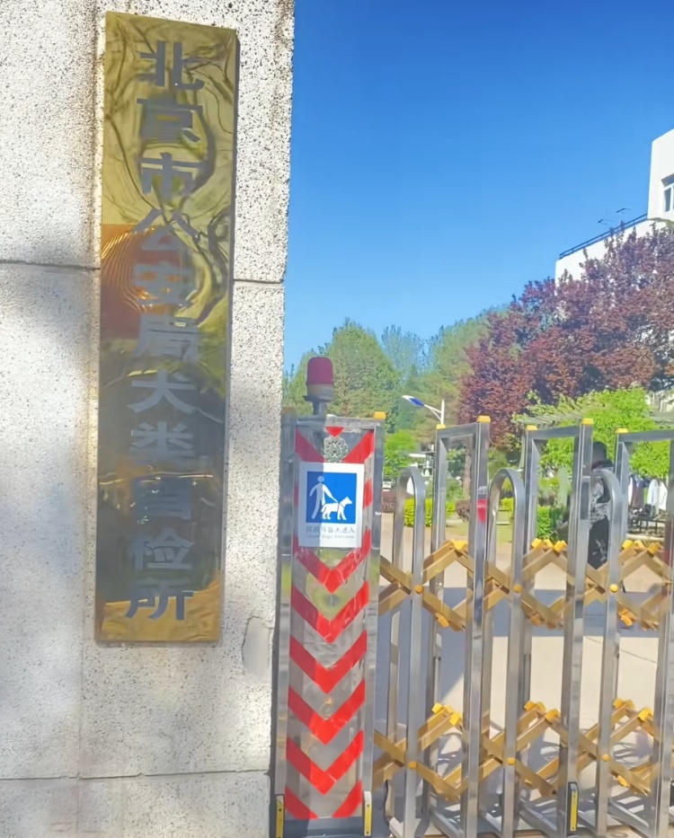 狗狗被拘10天“刑满释放”！主人用柳叶条给它去晦气，网友：从此有案底了……