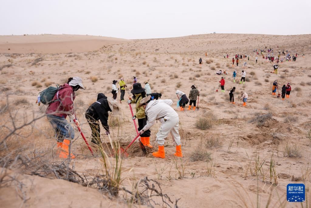 跨越山海种树护绿