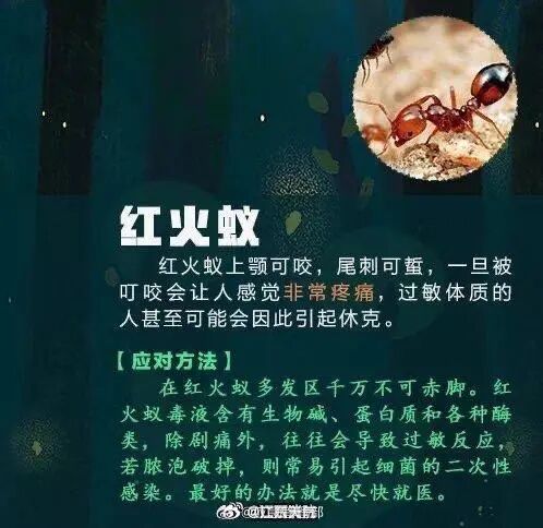 强降水+强对流！广东暴雨要来了！广州晚高峰小心雨水“突袭”
