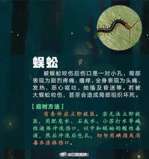 强降水+强对流！广东暴雨要来了！广州晚高峰小心雨水“突袭”