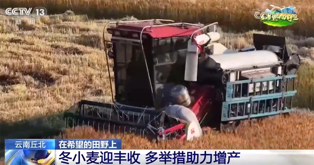 良种良机良法助力春耕跑出“加速度” 丰收愿景在“智慧”耕耘中逐步变为现实