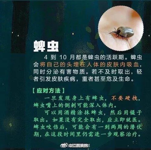 强降水+强对流！广东暴雨要来了！广州晚高峰小心雨水“突袭”