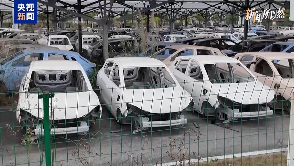 投张雪“赢麻”、投哪吒汽车“翻车” 二者差距在哪儿