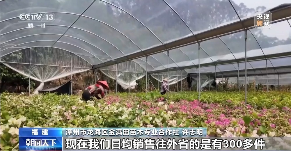 新鲜好物直达家门 一季度邮政行业寄递业务量同比增长4.5%