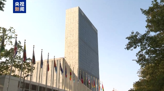 联合国证实一名法国籍维和人员在黎南部遇袭身亡