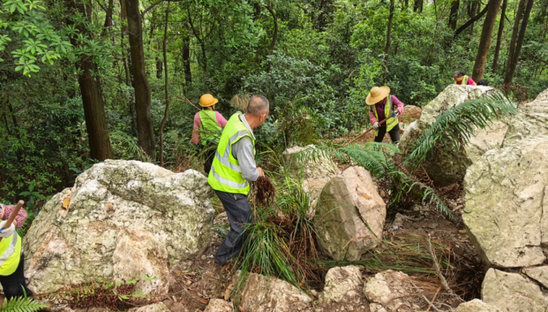 广州黄埔：暹岗大山被采挖坑洞全部回填复绿，游客挖出的石头并非水晶矿
