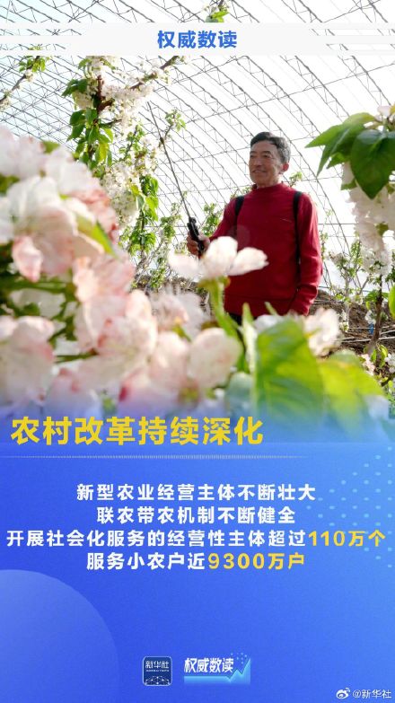 一季度农业农村经济发展势头良好！