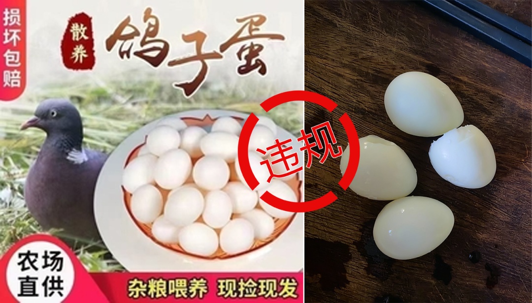 抖音：31人被采取刑事强制措施！多起违规案例详情公布