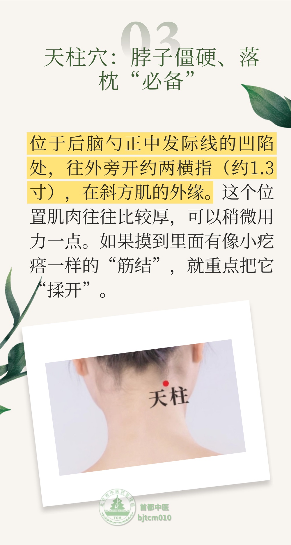 常低头最伤这根神经！头疼、头麻，头发蒙，按揉4个穴位可缓解