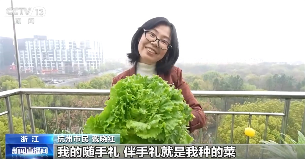 阳台种菜成为融合“民生消费+现代农业”新赛道 管理逐步走向“指尖遥控”时代