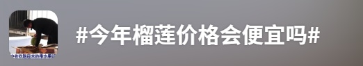 广州大批到货，价格还会降！消费提示→