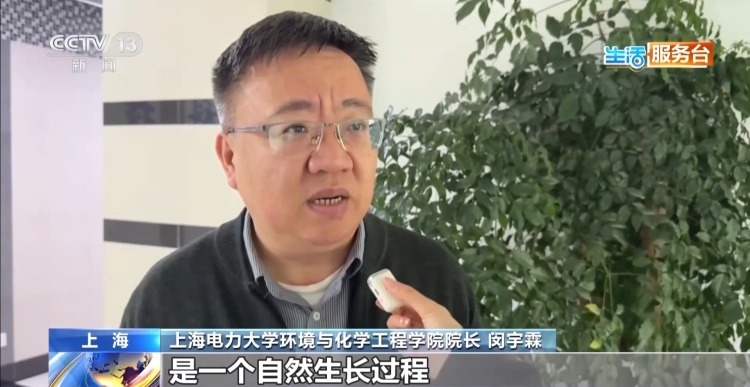 充电宝里的“锂枝晶”是什么？专家：超过使用年限别再用了