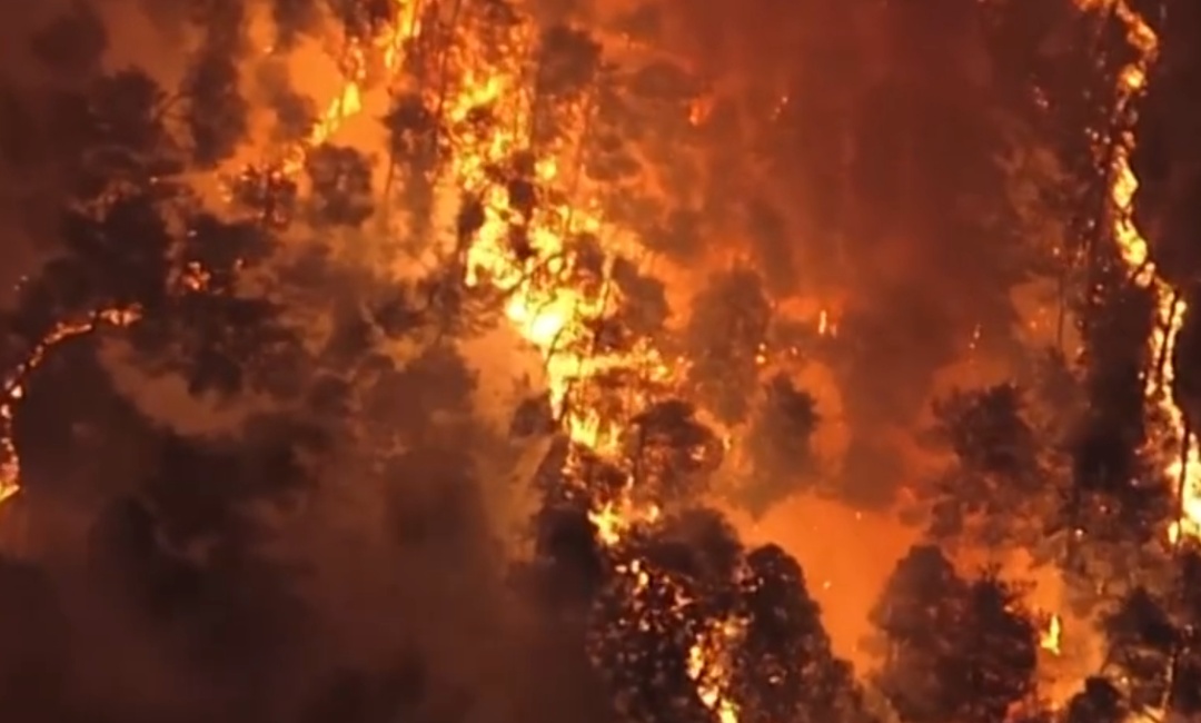 日本山林火灾已燃烧3天，过火面积达1176公顷，当地政府已发布避难指示