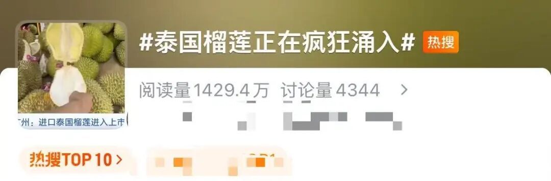 广州大批到货，价格还会降！消费提示→