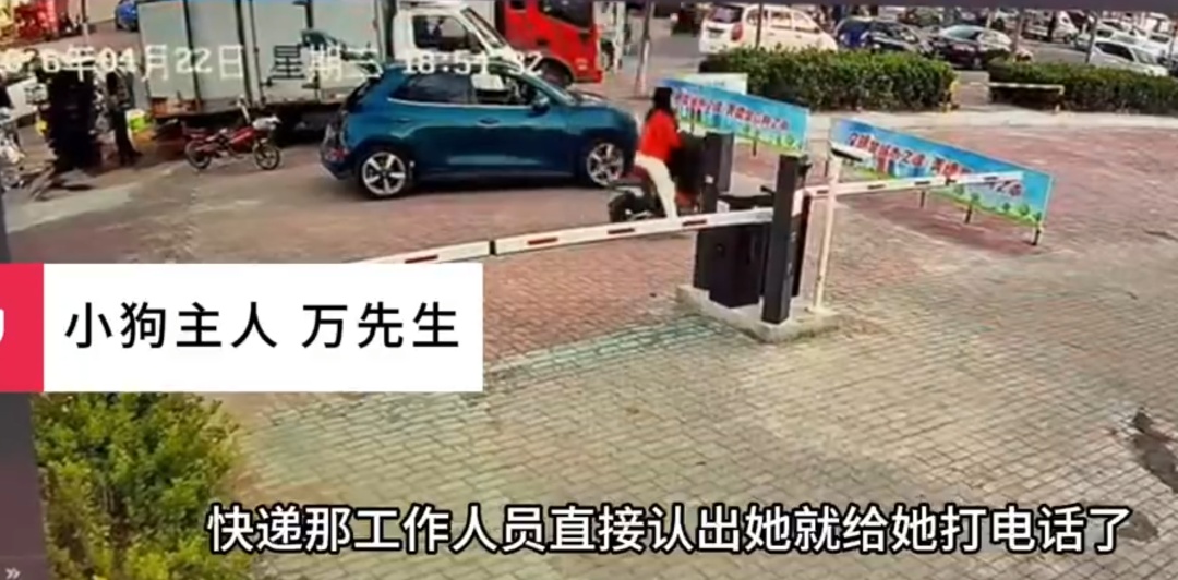 女子买海鲜逃单还顺走宠物狗！主人报警对方拒接电话：狗价值1.28万，绝不私了