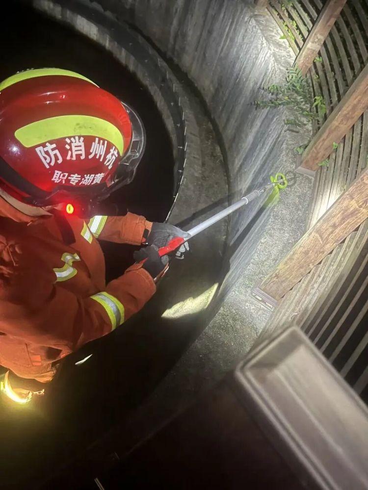 杭州女子开门吓傻眼：盘踞着2条大蛇！消防一看有3条，条条都有1米长，足足5.5斤