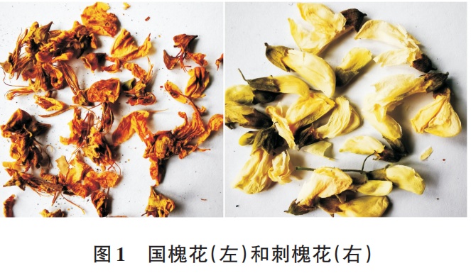 维生素C是苹果的10倍！这种花现在吃正合适，但要注意