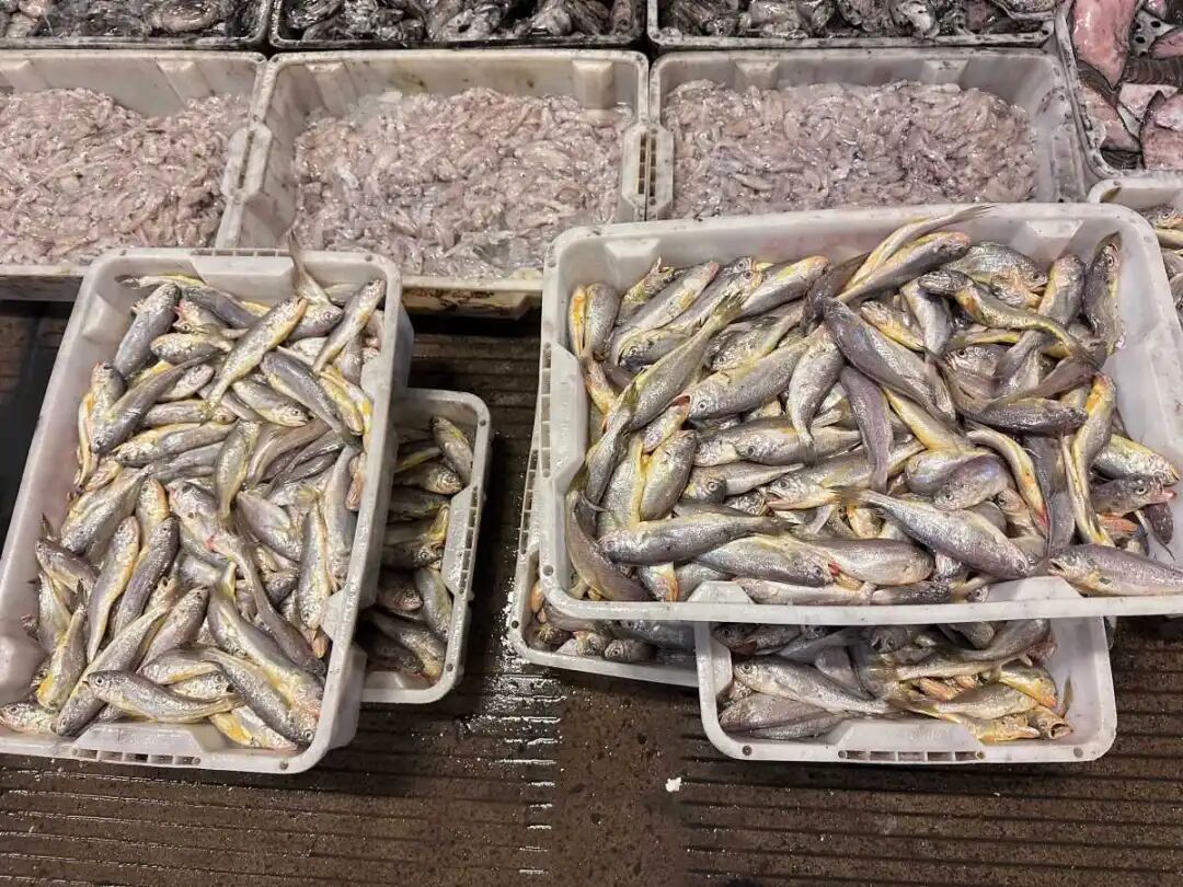 宁波人开启“囤鲜模式”！批发市场日销800吨，你囤了多少？