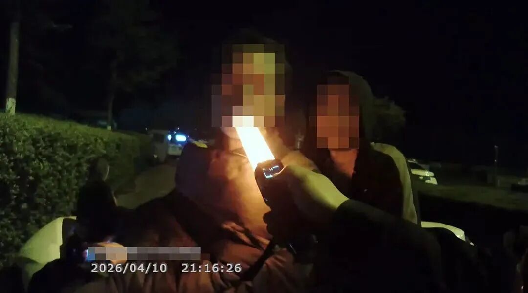 “高速不查车？交警蜀黍说：你想多了！”