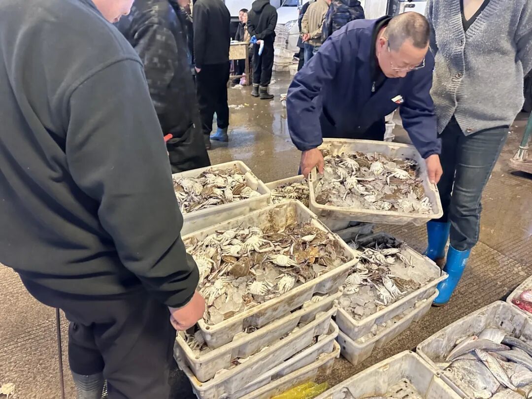宁波人开启“囤鲜模式”！批发市场日销800吨，你囤了多少？