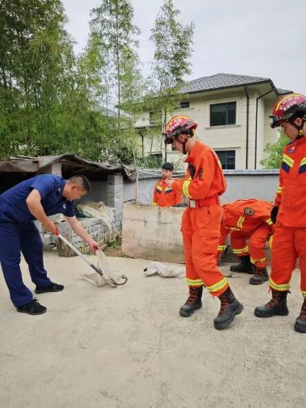 杭州女子开门吓傻眼：盘踞着2条大蛇！消防一看有3条，条条都有1米长，足足5.5斤