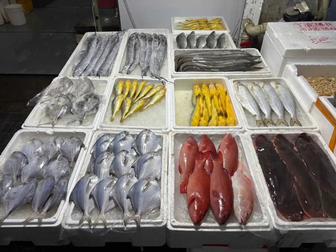 宁波人开启“囤鲜模式”！批发市场日销800吨，你囤了多少？