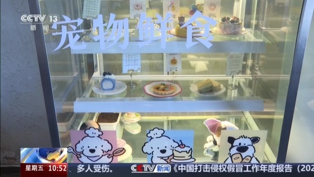 宠物消费市场规模突破3100亿元 线上线下齐增长