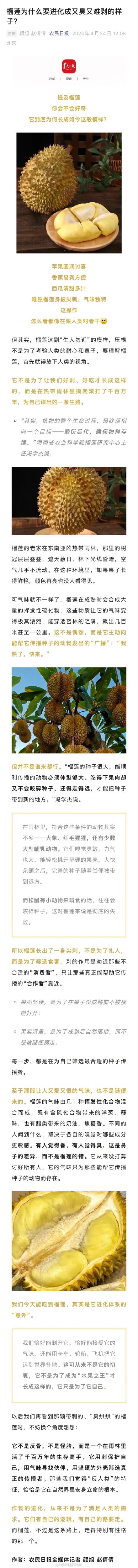 榴莲为什么进化的又臭又难剥？