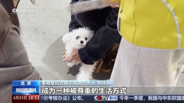 宠物消费市场规模突破3100亿元 线上线下齐增长