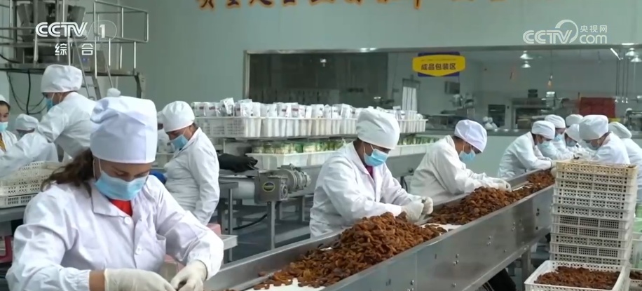 6.8%、2亿人次、245.2万吨 借助多领域一季度经济成果感知发展活力