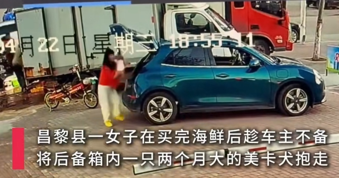 女子买海鲜逃单还顺走宠物狗！主人报警对方拒接电话：狗价值1.28万，绝不私了