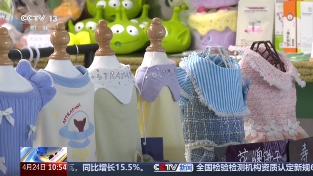 宠物消费市场规模突破3100亿元 线上线下齐增长