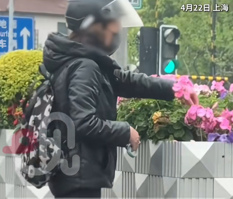 上海街头惊现“采花大盗”！直接拿剪刀采摘，网友：罚！罚！罚！