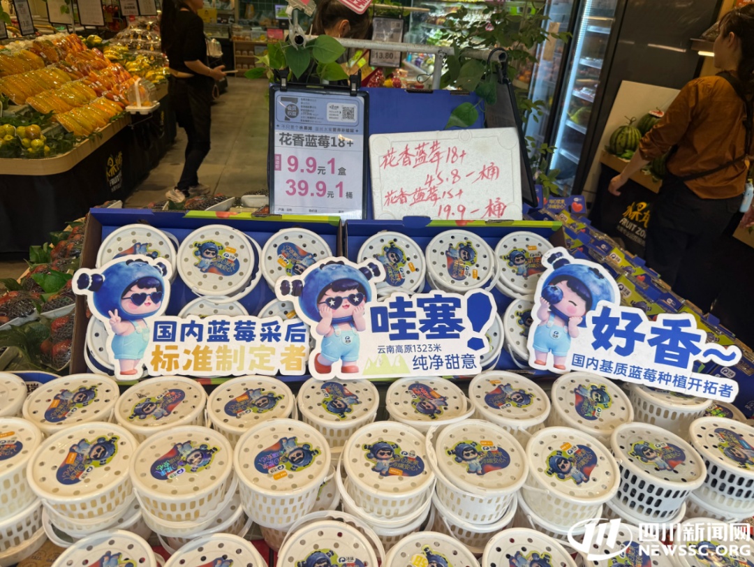 蓝莓价格大降五成，市民成桶买，专家提醒：那层“白霜”别搓掉