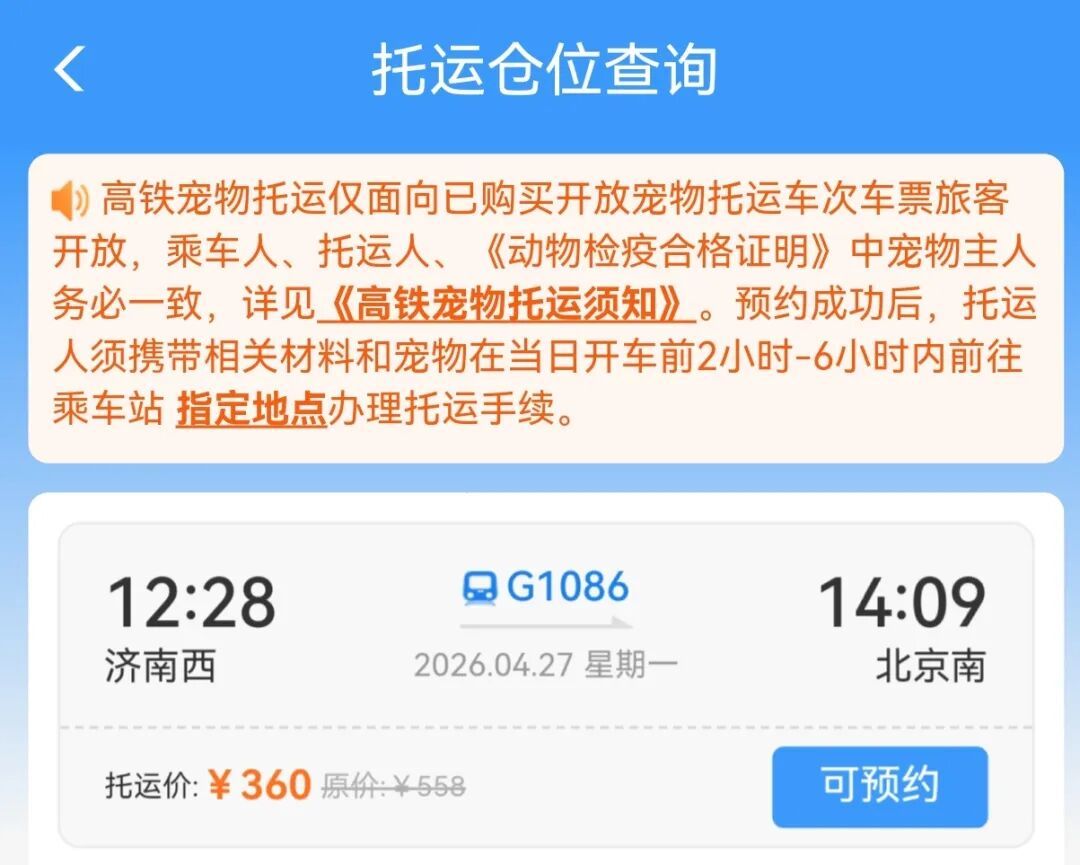 车厢里来了小猫咪！它们怎样“坐”高铁？