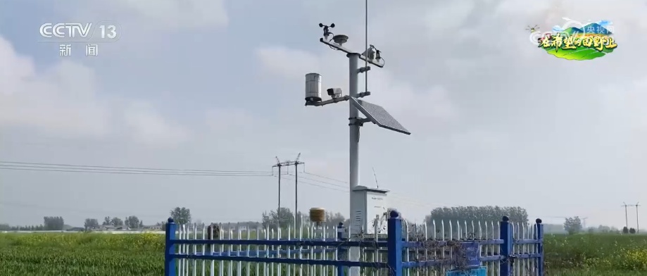 广袤田野生机无限 科技显身手为粮食稳产增收筑牢根基