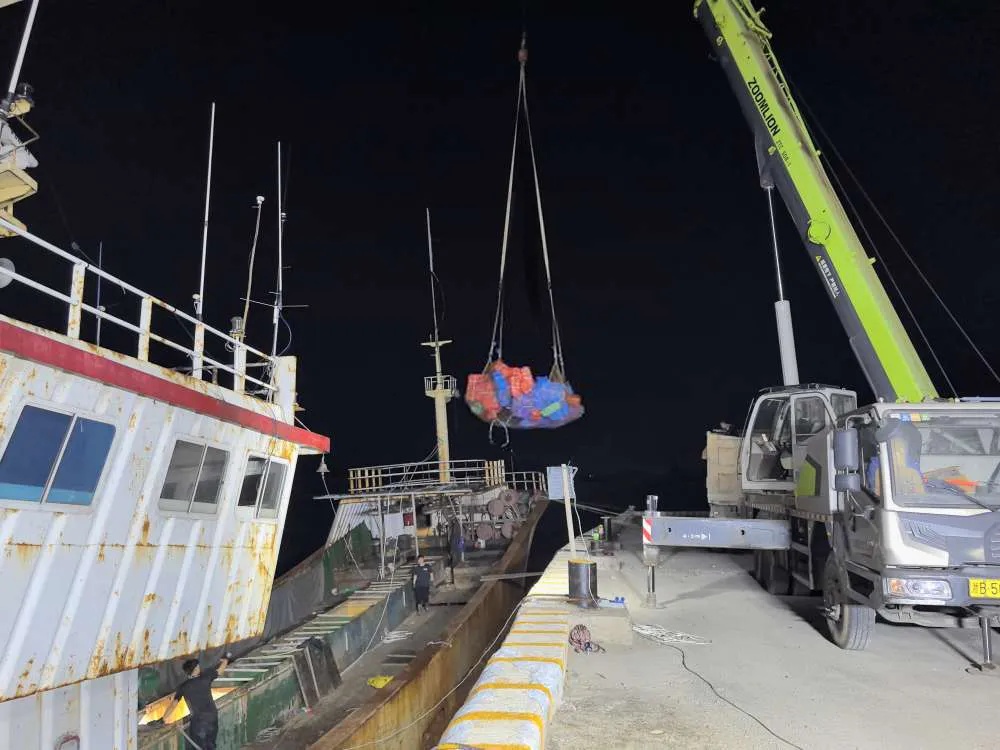 深夜收网！27人在浙江一码头被抓